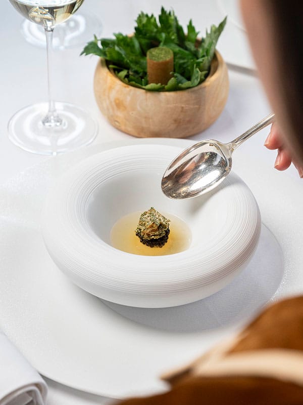 Des-Racines-a-la-Feuille